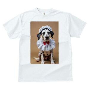 _VA TVc  j[NfUCfB[X t@  t vg lJWA 킢 lԗp Mtg I ҏ΍ Ch _VA ԂlN^C