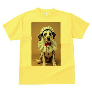 _VA TVc  j[NfUCfB[X t@  t vg lJWA 킢 lԗp Mtg I ҏ΍ Ch _VA ԂlN^C