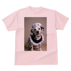 _VA TVc  j[NfUCfB[X t@  t vg lJWA 킢 lԗp Mtg I ҏ΍ Ch _VA Xq