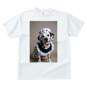 _VA TVc  j[NfUCfB[X t@  t vg lJWA 킢 lԗp Mtg I ҏ΍ Ch _VA Xq