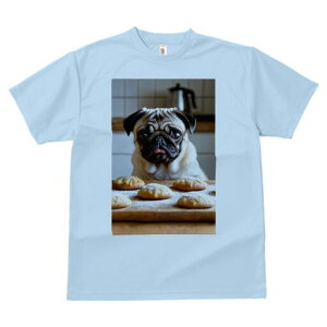 pO TVc  j[NfUCfB[X t@  t vg lJWA 킢 lԗp Mtg I ҏ΍ Ăَq pO NbL[ fU[g XC[c