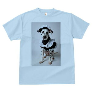 _VA TVc  j[NfUCfB[X t@  t vg lJWA 킢 lԗp Mtg I ҏ΍ Ch _VA RX`[ nE