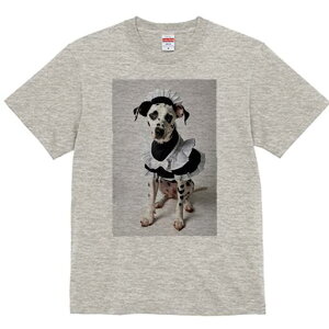 _VA TVc  j[NfUCfB[X t@  t vg lJWA 킢 lԗp Mtg I ҏ΍ Ch _VA RX`[ nE