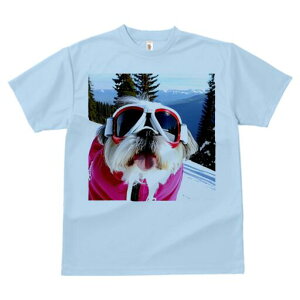 V[Y[ TVc  j[NfUCfB[X t@  t vg lJWA 킢 lԗp Mtg I ҏ΍ XL[ V[Y[ R XL[EFA S[O