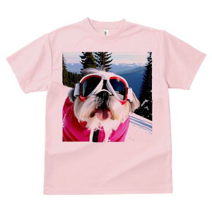 V[Y[ TVc  j[NfUCfB[X t@  t vg lJWA 킢 lԗp Mtg I ҏ΍ XL[ V[Y[ R XL[EFA S[O