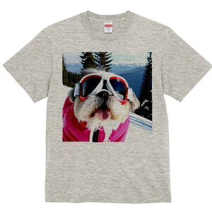 V[Y[ TVc  j[NfUCfB[X t@  t vg lJWA 킢 lԗp Mtg I ҏ΍ XL[ V[Y[ R XL[EFA S[O