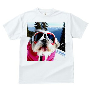 V[Y[ TVc  j[NfUCY LbY t@  t vg lJWA 킢 lԗp Mtg I ҏ΍ XL[ V[Y[ R XL[EFA S[O