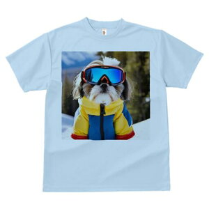 V[Y[ TVc  j[NfUCfB[X t@  t vg lJWA 킢 lԗp Mtg I ҏ΍ XL[EFA V[Y[ XL[S[O R