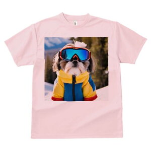 V[Y[ TVc  j[NfUCY LbY t@  t vg lJWA 킢 lԗp Mtg I ҏ΍ XL[EFA V[Y[ XL[S[O R