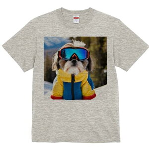 V[Y[ TVc  j[NfUCfB[X t@  t vg lJWA 킢 lԗp Mtg I ҏ΍ XL[EFA V[Y[ XL[S[O R