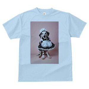 _VA TVc  j[NfUCfB[X t@  t vg lJWA 킢 lԗp Mtg I ҏ΍ Ch _VA RX`[