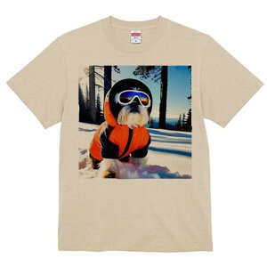 V[Y[ TVc  j[NfUCfB[X t@  t vg lJWA 킢 lԗp Mtg I ҏ΍  V[Y[ XL[EFA S[O