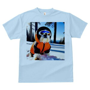 V[Y[ TVc  j[NfUCfB[X t@  t vg lJWA 킢 lԗp Mtg I ҏ΍  V[Y[ XL[EFA S[O