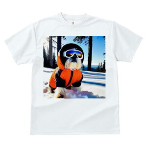 V[Y[ TVc  j[NfUCfB[X t@  t vg lJWA 킢 lԗp Mtg I ҏ΍  V[Y[ XL[EFA S[O