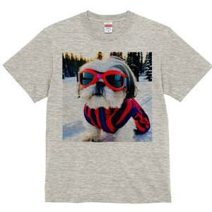 V[Y[ TVc  j[NfUCY LbY t@  t vg lJWA 킢 lԗp Mtg I ҏ΍ TOX V[Y[ XL[EFA  ~