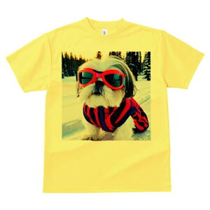 V[Y[ TVc  j[NfUCfB[X t@  t vg lJWA 킢 lԗp Mtg I ҏ΍ TOX V[Y[ XL[EFA  ~