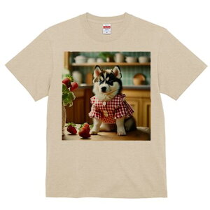 nXL[ TVc  j[NfUCfB[X t@  t vg lJWA 킢 lԗp Mtg I ҏ΍ C`S nXL[ MK