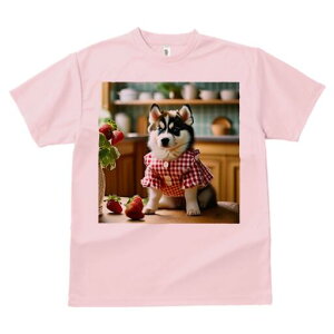 nXL[ TVc  j[NfUCfB[X t@  t vg lJWA 킢 lԗp Mtg I ҏ΍ C`S nXL[ MK