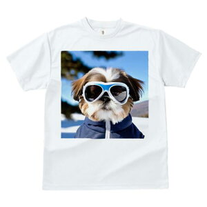 V[Y[ TVc  j[NfUCfB[X t@  t vg lJWA 킢 lԗp Mtg I ҏ΍ TOX V[Y[ WPbg 