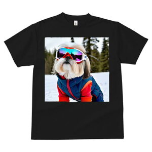 V[Y[ TVc  j[NfUCY LbY t@  t vg lJWA 킢 lԗp Mtg I ҏ΍ XL[EFA V[Y[ XL[S[O 