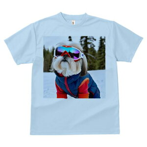 V[Y[ TVc  j[NfUCfB[X t@  t vg lJWA 킢 lԗp Mtg I ҏ΍ XL[EFA V[Y[ XL[S[O 