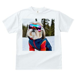 V[Y[ TVc  j[NfUCfB[X t@  t vg lJWA 킢 lԗp Mtg I ҏ΍ XL[EFA V[Y[ XL[S[O 