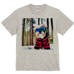 V[Y[ TVc  j[NfUCfB[X t@  t vg lJWA 킢 lԗp Mtg I ҏ΍ XL[S[O V[Y[ ~  