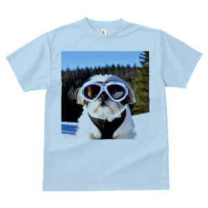 V[Y[ TVc  j[NfUCfB[X t@  t vg lJWA 킢 lԗp Mtg I ҏ΍ S[O V[Y[ 