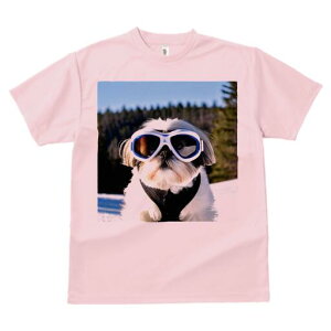 V[Y[ TVc  j[NfUCfB[X t@  t vg lJWA 킢 lԗp Mtg I ҏ΍ S[O V[Y[ 