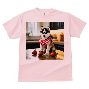 nXL[ TVc  j[NfUCfB[X t@  t vg lJWA 킢 lԗp Mtg I ҏ΍ C`S nXL[ ԃ`FbN