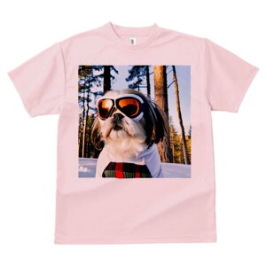 V[Y[ TVc  j[NfUCfB[X t@  t vg lJWA 킢 lԗp Mtg I ҏ΍ XL[S[O V[Y[  ~ 