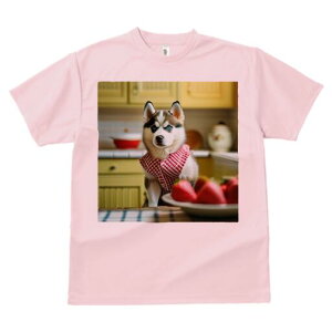 nXL[ TVc  j[NfUCfB[X t@  t vg lJWA 킢 lԗp Mtg I ҏ΍ C`S nXL[ Lb` `}bg