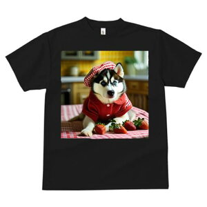 VxAnXL[ TVc  j[NfUCfB[X t@  t vg lJWA 킢 lԗp Mtg I ҏ΍ C`S VxAnXL[ Xq 