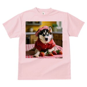 VxAnXL[ TVc  j[NfUCfB[X t@  t vg lJWA 킢 lԗp Mtg I ҏ΍ C`S VxAnXL[ Xq 