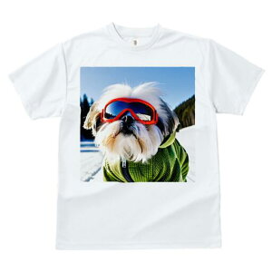 V[Y[ TVc  j[NfUCfB[X t@  t vg lJWA 킢 lԗp Mtg I ҏ΍ XL[ V[Y[ ~  S[O