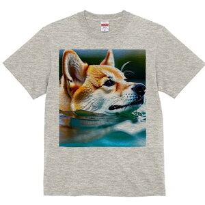 Č TVc  j[NfUCfB[X t@  t vg lJWA 킢 lԗp Mtg I ҏ΍  Č  C