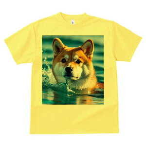 Č TVc  j[NfUCfB[X t@  t vg lJWA 킢 lԗp Mtg I ҏ΍  Č Ԃ