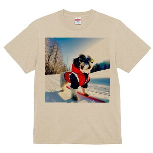 V[Y[ TVc  j[NfUCfB[X t@  t vg lJWA 킢 lԗp Mtg I ҏ΍ XL[ V[Y[  ~ XL[EFA