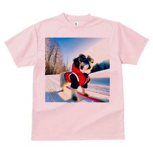 V[Y[ TVc  j[NfUCfB[X t@  t vg lJWA 킢 lԗp Mtg I ҏ΍ XL[ V[Y[  ~ XL[EFA