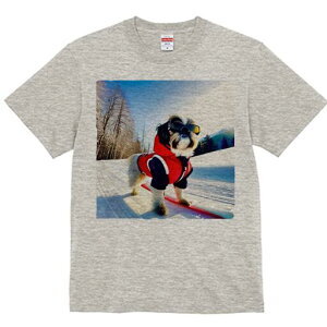 V[Y[ TVc  j[NfUCfB[X t@  t vg lJWA 킢 lԗp Mtg I ҏ΍ XL[ V[Y[  ~ XL[EFA