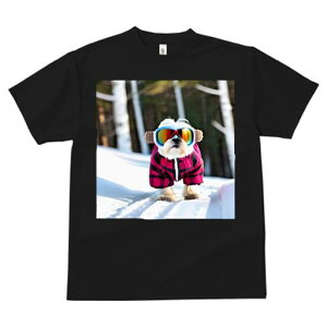 V[Y[ TVc  j[NfUCfB[X t@  t vg lJWA 킢 lԗp Mtg I ҏ΍ XL[ V[Y[  ~ XL[EFA