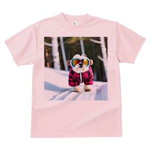 V[Y[ TVc  j[NfUCY LbY t@  t vg lJWA 킢 lԗp Mtg I ҏ΍ XL[ V[Y[  ~ XL[EFA