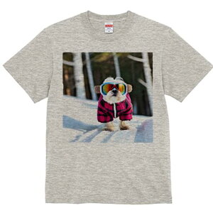 V[Y[ TVc  j[NfUCY LbY t@  t vg lJWA 킢 lԗp Mtg I ҏ΍ XL[ V[Y[  ~ XL[EFA