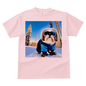 V[Y[ TVc  j[NfUCfB[X t@  t vg lJWA 킢 lԗp Mtg I ҏ΍ XL[EFA V[Y[ XL[S[O R ~