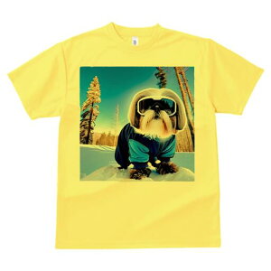 V[Y[ TVc  j[NfUCfB[X t@  t vg lJWA 킢 lԗp Mtg I ҏ΍ XL[EFA V[Y[ XL[S[O R ~