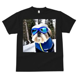 V[Y[ TVc  j[NfUCfB[X t@  t vg lJWA 킢 lԗp Mtg I ҏ΍ XL[EFA V[Y[ XL[S[O R