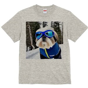 V[Y[ TVc  j[NfUCfB[X t@  t vg lJWA 킢 lԗp Mtg I ҏ΍ XL[EFA V[Y[ XL[S[O R