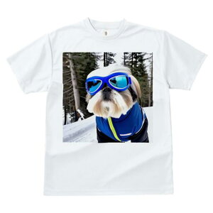 V[Y[ TVc  j[NfUCfB[X t@  t vg lJWA 킢 lԗp Mtg I ҏ΍ XL[EFA V[Y[ XL[S[O R