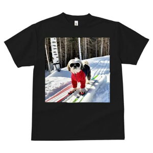 V[Y[ TVc  j[NfUCfB[X t@  t vg lJWA 킢 lԗp Mtg I ҏ΍ XL[ V[Y[  ~ XL[EFA