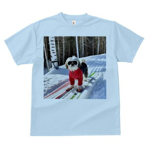 V[Y[ TVc  j[NfUCfB[X t@  t vg lJWA 킢 lԗp Mtg I ҏ΍ XL[ V[Y[  ~ XL[EFA